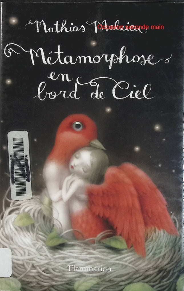 Métamorphose en bord de ciel – Édition de luxe – Mathias Malzieu – Roman poétique, fantastique et imaginaire  - Livre