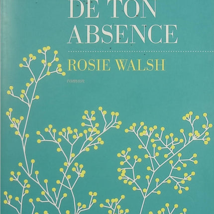 Les Jours de ton absence – Rosie Walsh – Thriller psychologique, amour et disparition mystérieuse - Livre