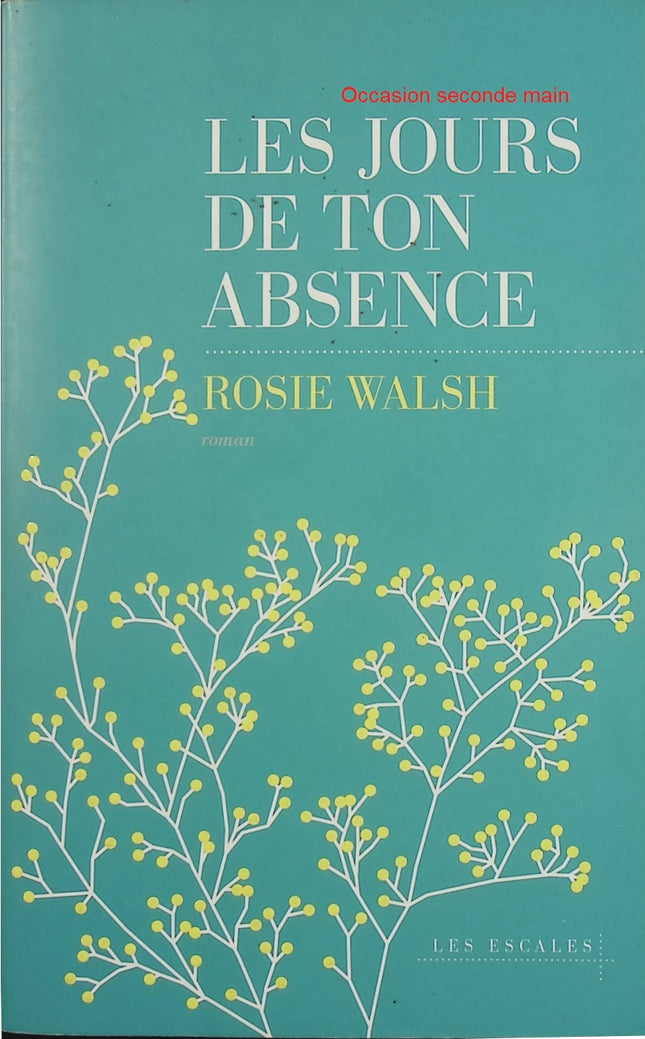 Les Jours de ton absence – Rosie Walsh – Thriller psychologique, amour et disparition mystérieuse - Livre