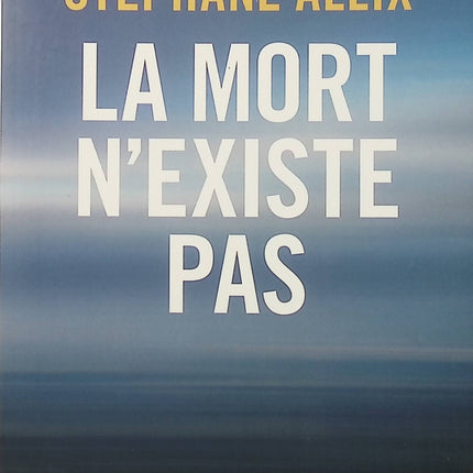 La mort n’existe pas – Stéphane Allix – Enquête sur l’après-vie, les expériences de mort imminente et la conscience - Livre