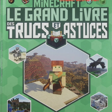 Minecraft – Le grand livre des trucs et astuces – Stéphane Pilet – guide non officiel, conseils, astuces et techniques Minecraft - Livre