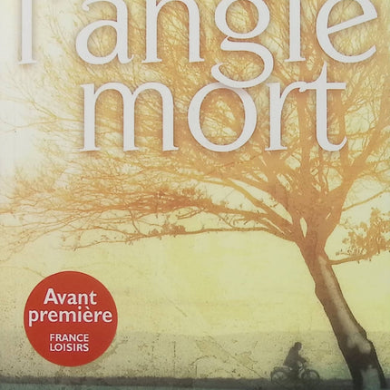 Dans l’angle mort – Chris Bohjalian – Thriller psychologique – Secrets, photos et disparition - Livre
