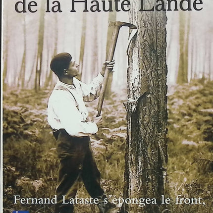 Les seigneurs de la Haute Lande – Alain Dubos – roman de terroir, saga landaise et drame rural - Livre