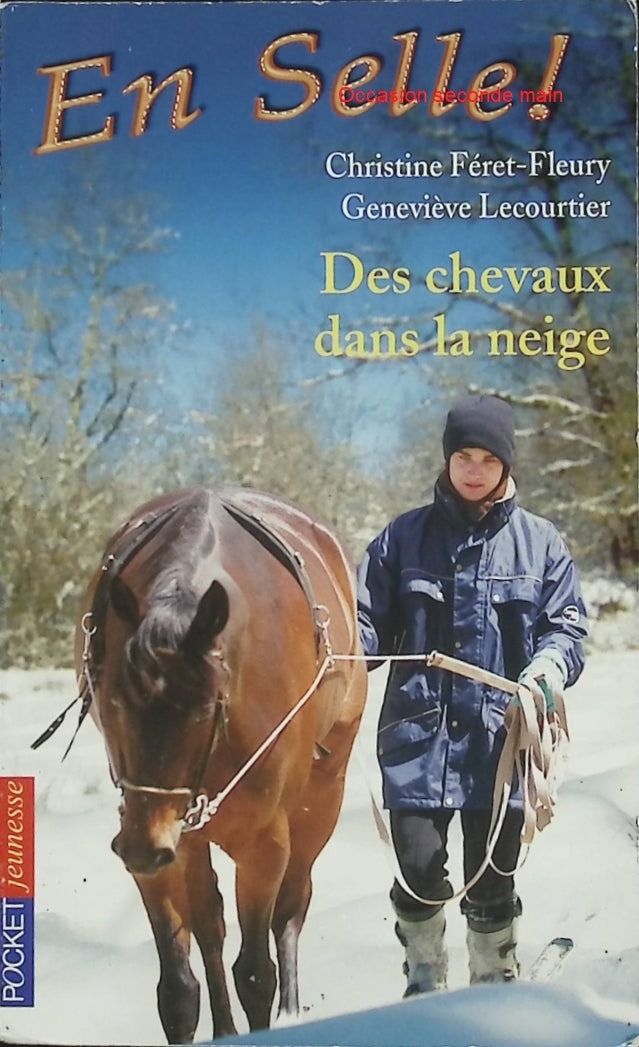 En Selle ! Tome 19 – Des chevaux dans la neige – Christine Féret-Fleury, Geneviève Lecourtier – Roman jeunesse et aventures équestres - Livre