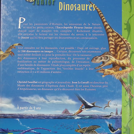 Dinosaures - Jean Le Loeuff et Christel Souillat - Encyclopédie Fleurus Junior - Livre documentaire jeunesse d'occasion - Livre