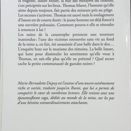 La Galerie des jalousies Tome 1 - Marie-Bernadette Dupuy - Roman historique - Mine - Vendée - Amour - Enquête - Livre