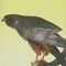 Livres
