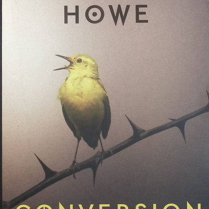 Conversion – Katherine Howe, roman jeunesse mystérieux entre sorcellerie, secrets et énigmes au lycée - Livre