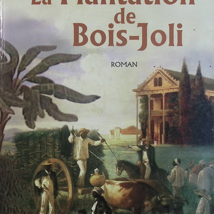 La Plantation de Bois-Joli – Alain Dubos – Roman de terroir, saga familiale et esclavage aux Antilles - Livre