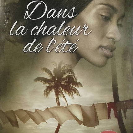Dans la chaleur de l’été – Vanessa Lafaye – roman historique passion ségrégation Floride ouragan - Livre