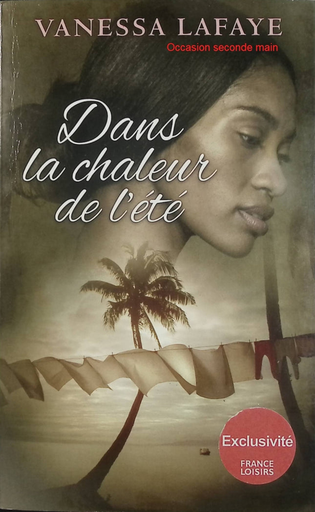 Dans la chaleur de l’été – Vanessa Lafaye – roman historique passion ségrégation Floride ouragan - Livre
