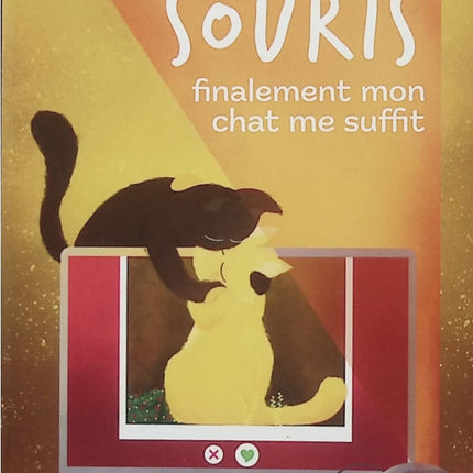 Adieu la souris – Finalement mon chat me suffit – Laurence Jyl – Humour, chat et vie quotidienne - Livre