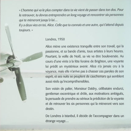 L'Étrange Voyage de Monsieur Daldry – Marc Levy – Roman d’amour, voyage et quête personnelle - Livre