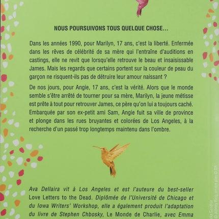 Dix-Sept Ans – Ava Dellaira – Roman ado – Amour, famille, secrets, identité et road trip - Livre