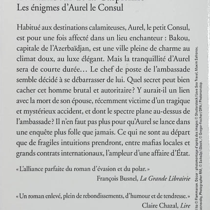 Le flambeur de la Caspienne – Jean-Christophe Rufin – Roman policier, enquête et aventure - Livre