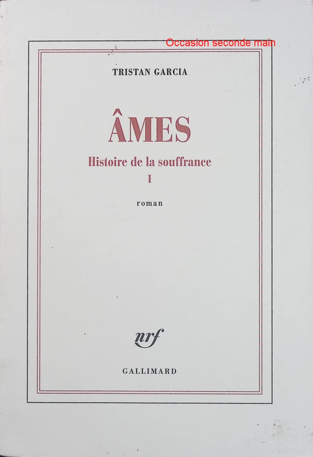 Histoire de la souffrance Tome 1 – Âmes – Tristan Garcia – Roman historique, philosophique et littéraire - Livre
