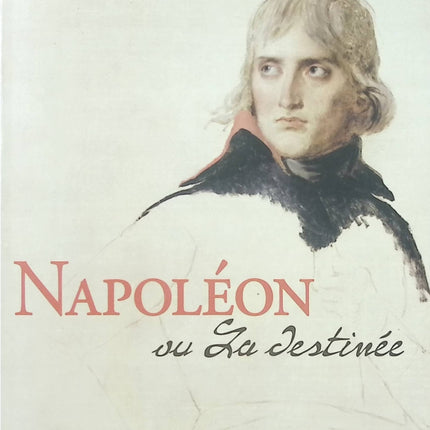 Napoléon ou la destinée – Jean-Marie Rouart – roman historique, portrait intime de Napoléon et réflexion sur le pouvoir - Livre