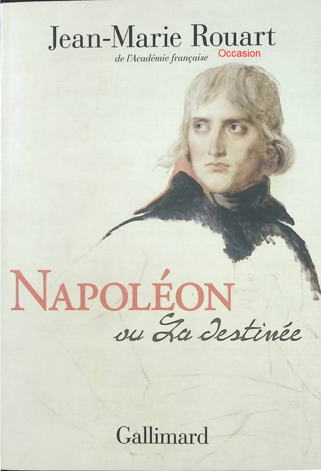 Napoléon ou la destinée – Jean-Marie Rouart – roman historique, portrait intime de Napoléon et réflexion sur le pouvoir - Livre