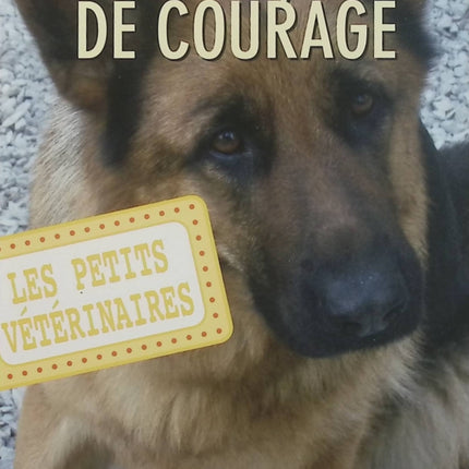 Les Petits Vétérinaires, tome 7 : Une leçon de courage – Laurie Halse Anderson – roman jeunesse, animaux, vétérinaire, aventure, amitié - Livre