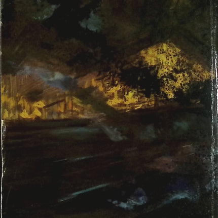 La Bête Humaine – Roman noir d’Émile Zola – Livre d’occasion - livre