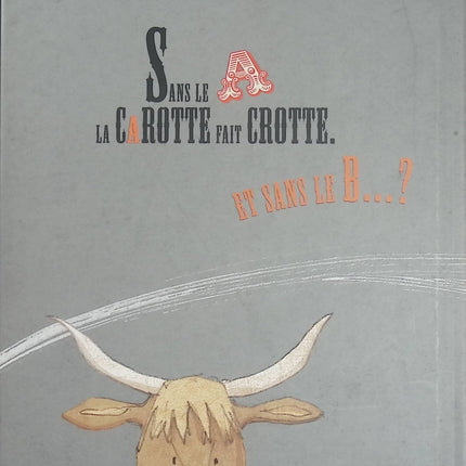Sans le A - L’Anti-Abécédaire - Michaël Escoffier et Kris Di Giacomo - Album jeunesse d’occasion drôle et ludique sur les lettres de l’alphabet - Livre