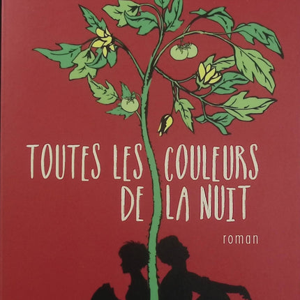 Toutes les couleurs de la nuit – Karine Lambert – roman contemporain, émotions, amour, deuil, reconstruction et seconde chance - Livre
