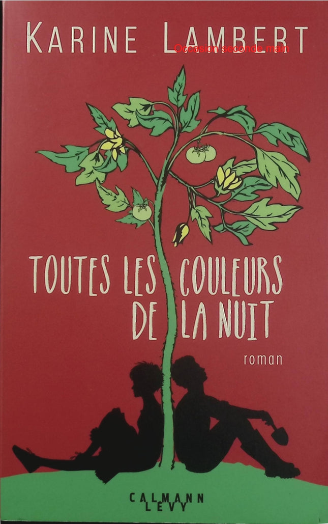 Toutes les couleurs de la nuit – Karine Lambert – roman contemporain, émotions, amour, deuil, reconstruction et seconde chance - Livre