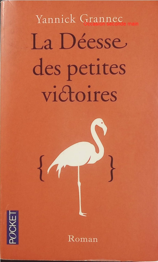 La Déesse des petites victoires Yannick Grannec – Roman français, histoire d’amour, génie mathématique et secrets d’une femme mystérieuse - Livre
