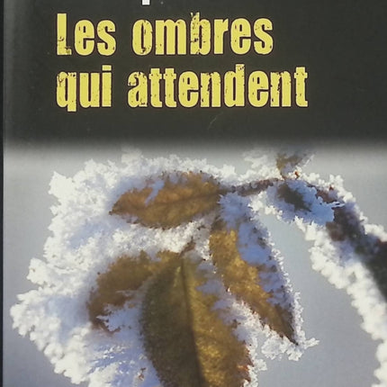 Les ombres qui attendent Carlene Thompson – Thriller psychologique, secrets de famille et suspense criminel - Livre