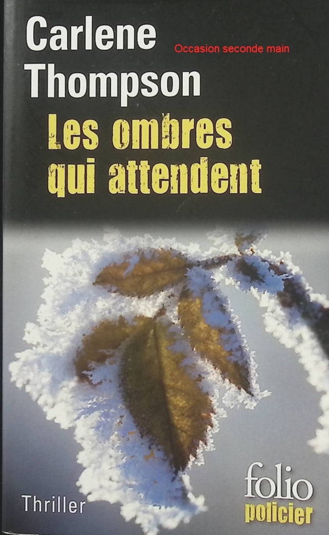 Les ombres qui attendent Carlene Thompson – Thriller psychologique, secrets de famille et suspense criminel - Livre
