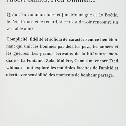 « Parce que c’était lui ; parce que c’était moi » – Littérature et amitié – essai sur la correspondance et les liens littéraires – livre d’occasion - livre
