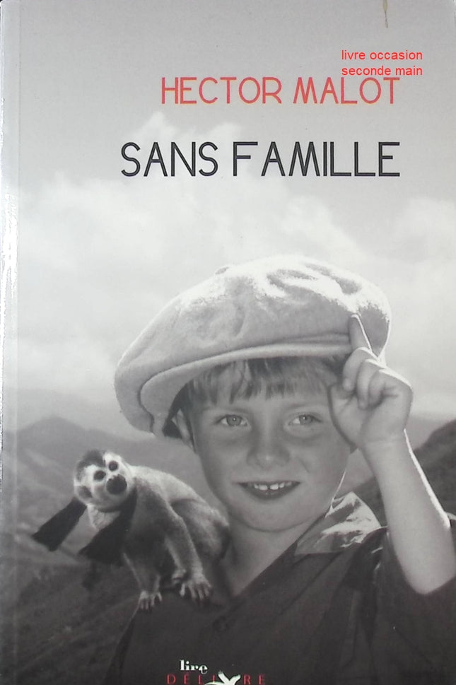 Sans Famille – Roman classique jeunesse Hector Malot - livre