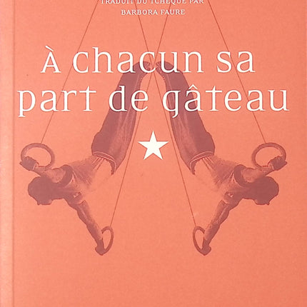 A chacun sa part de gâteau – Ota Pavel, récit tendre et humain - livre