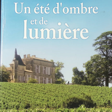 Un été d’ombre et de lumière – Martine Delomme, roman intense et émouvant - livre