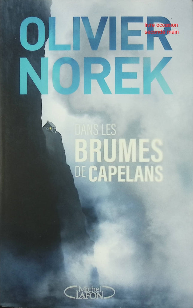 Dans les brumes de Capelans – polar sombre et immersif à Saint-Pierre-et-Miquelon – Olivier Norek - Livre