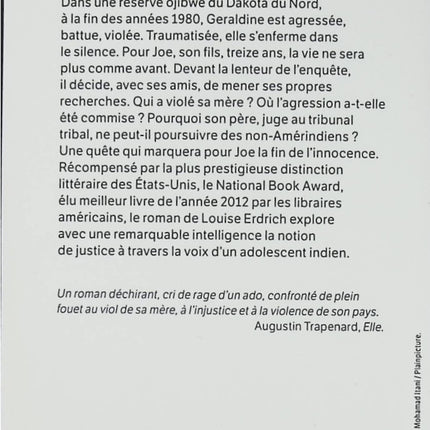 Roman contemporain amérindien USA Dans le silence du vent Louise Erdrich mémoire famille identité livre occasion - Livre