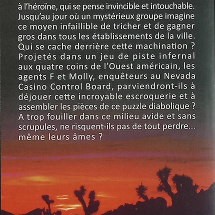La beauté du vice – Marc De Suzzoni – thriller casino Las Vegas et arnaque criminelle - Livre