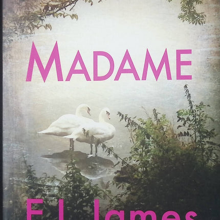 Madame – roman contemporain érotique et romantique d’E.L. James – passion, secrets et relations intenses - livre