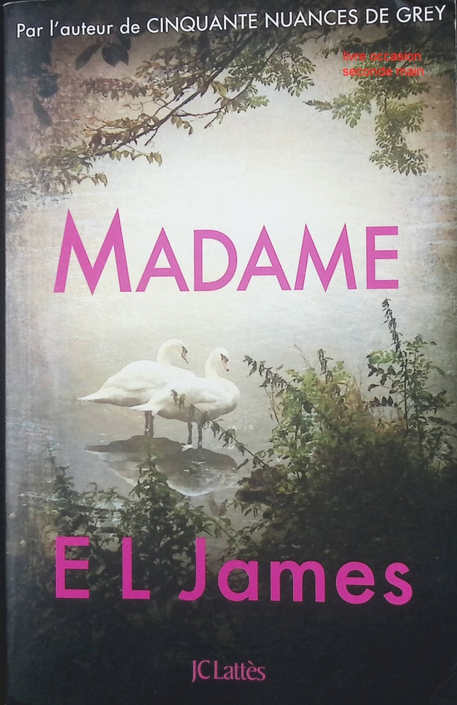 Madame – roman contemporain érotique et romantique d’E.L. James – passion, secrets et relations intenses - livre