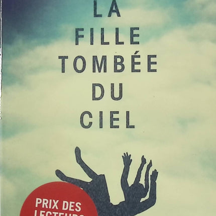 Roman contemporain drame identité métisse La Fille tombée du ciel – secrets, racines, quête de soi – Heidi Durrow - livre
