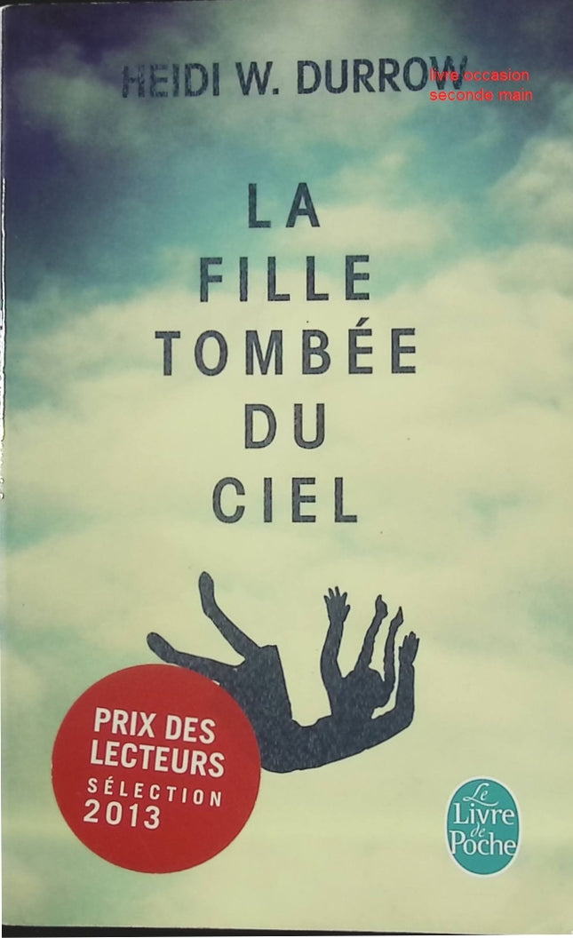 Roman contemporain drame identité métisse La Fille tombée du ciel – secrets, racines, quête de soi – Heidi Durrow - livre