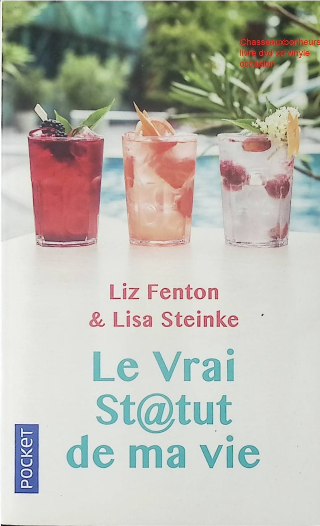 Le Vrai Statut de ma vie – Liz Fenton & Lisa Steinke – roman contemporain romance humour émotion réseaux sociaux choix de vie d’occasion - Livre