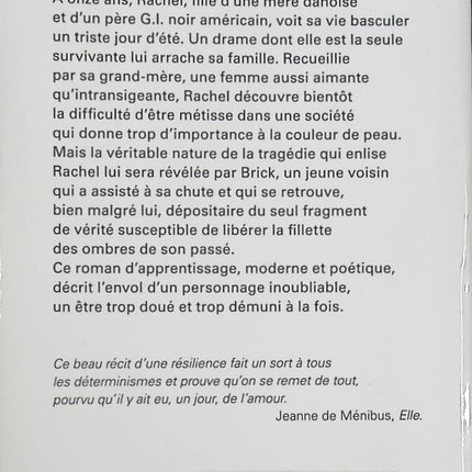 Roman contemporain drame identité métisse La Fille tombée du ciel – secrets, racines, quête de soi – Heidi Durrow - livre