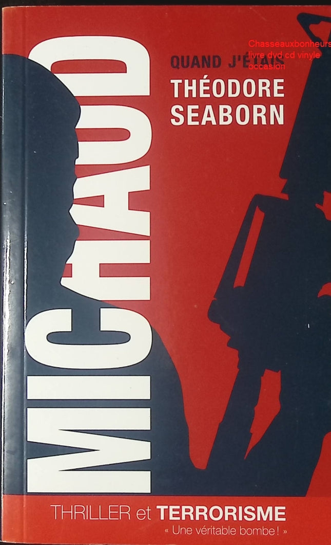 Quand j’étais Théodore Seaborn – Martin Michaud – roman thriller psychologique identité amnésie suspense enquête d’occasion - Livre