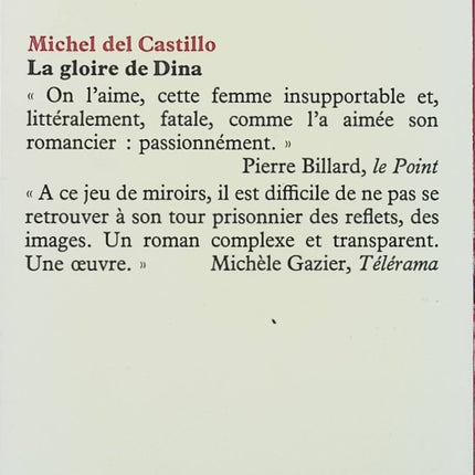 La Gloire de Dina – Michel del Castillo – roman familial secrets de famille et identité - Livre