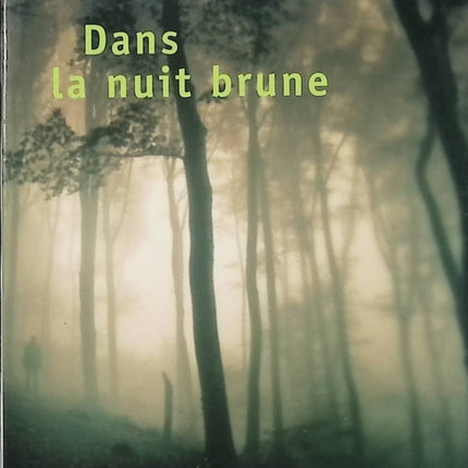 Dans la nuit brune – Agnès Desarthe – roman contemporain secrets de famille et quête d’identité - Livre