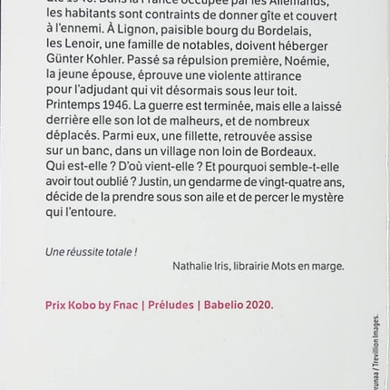 Roman contemporain drame familial L’hiver de Solveig – secrets, résilience, émotions – Reine Andrieu - livre