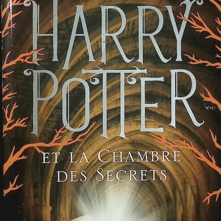 Harry Potter et la Chambre des secrets – J.K. Rowling roman fantasy magie Poudlard basilic mystère sorcier tome 2 - Livre