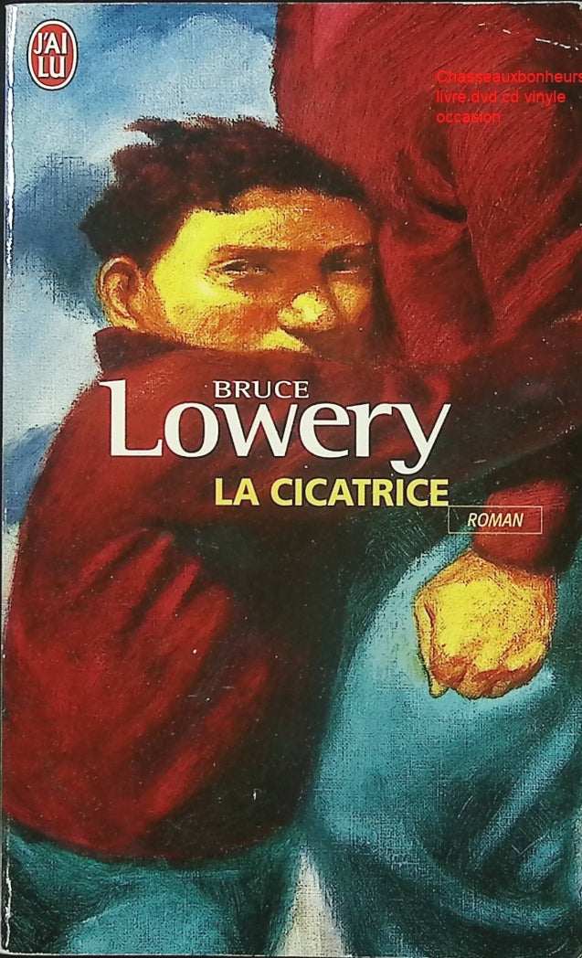 Roman La cicatrice Bruce Lowery livre jeunesse émotion harcèlement amitié drame adolescence occasion - Livre