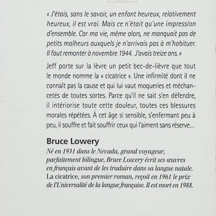 Roman La cicatrice Bruce Lowery livre jeunesse émotion harcèlement amitié drame adolescence occasion - Livre